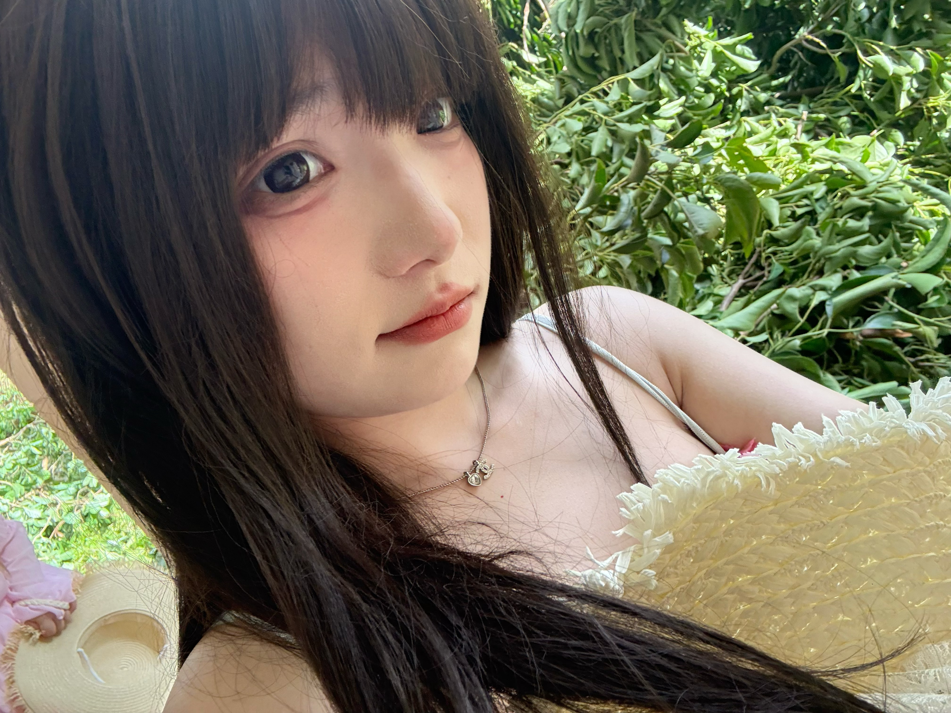 照片6